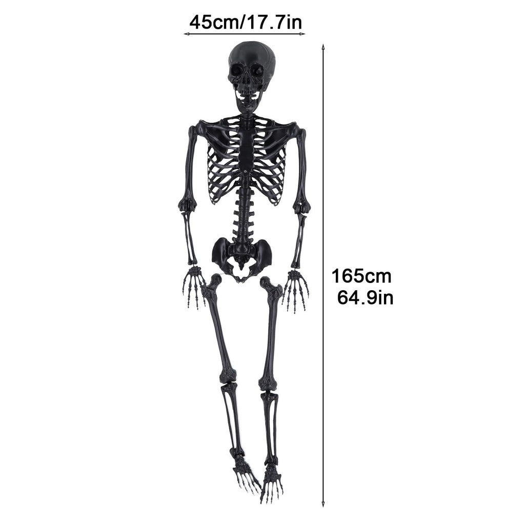 Life Size Posable Skeleton Prop P1444