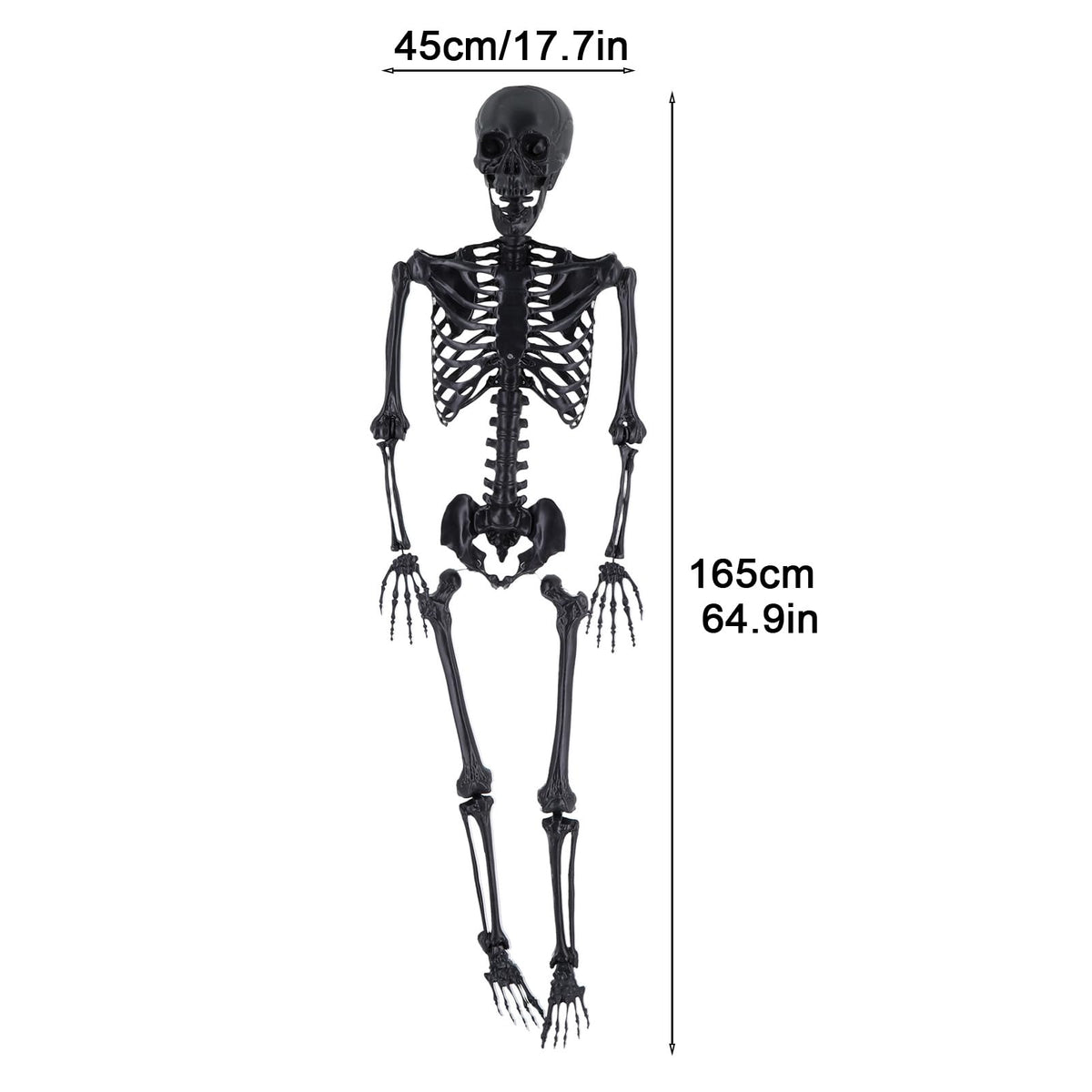 Life Size Posable Skeleton Prop P1444