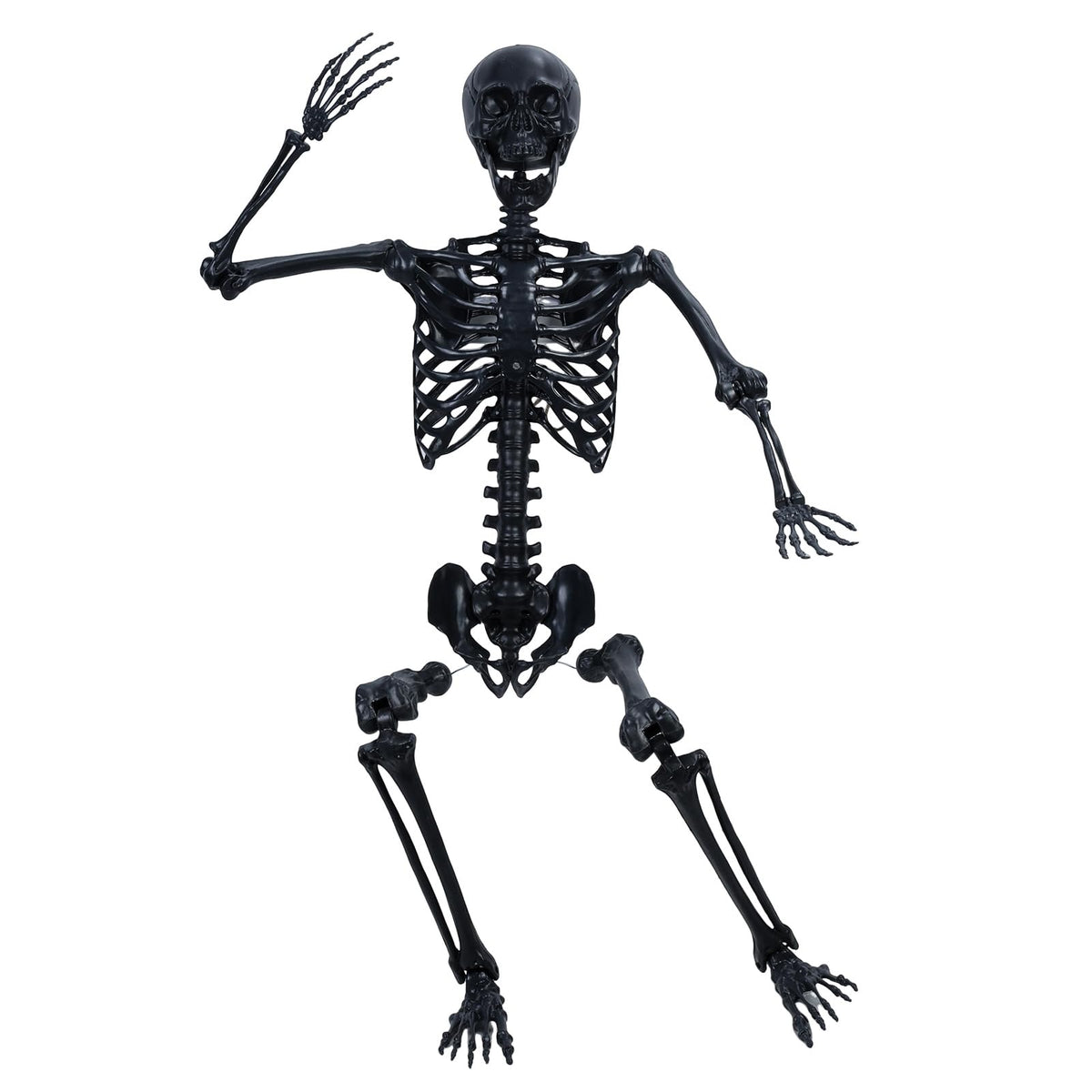 Life Size Posable Skeleton Prop P1444