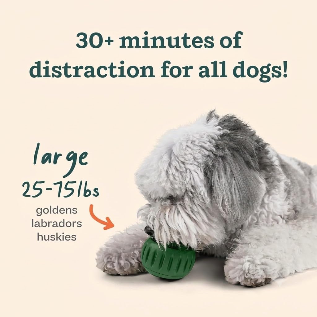 Dog Treat Toy for Large Dogs 25-75 lbs W8087
