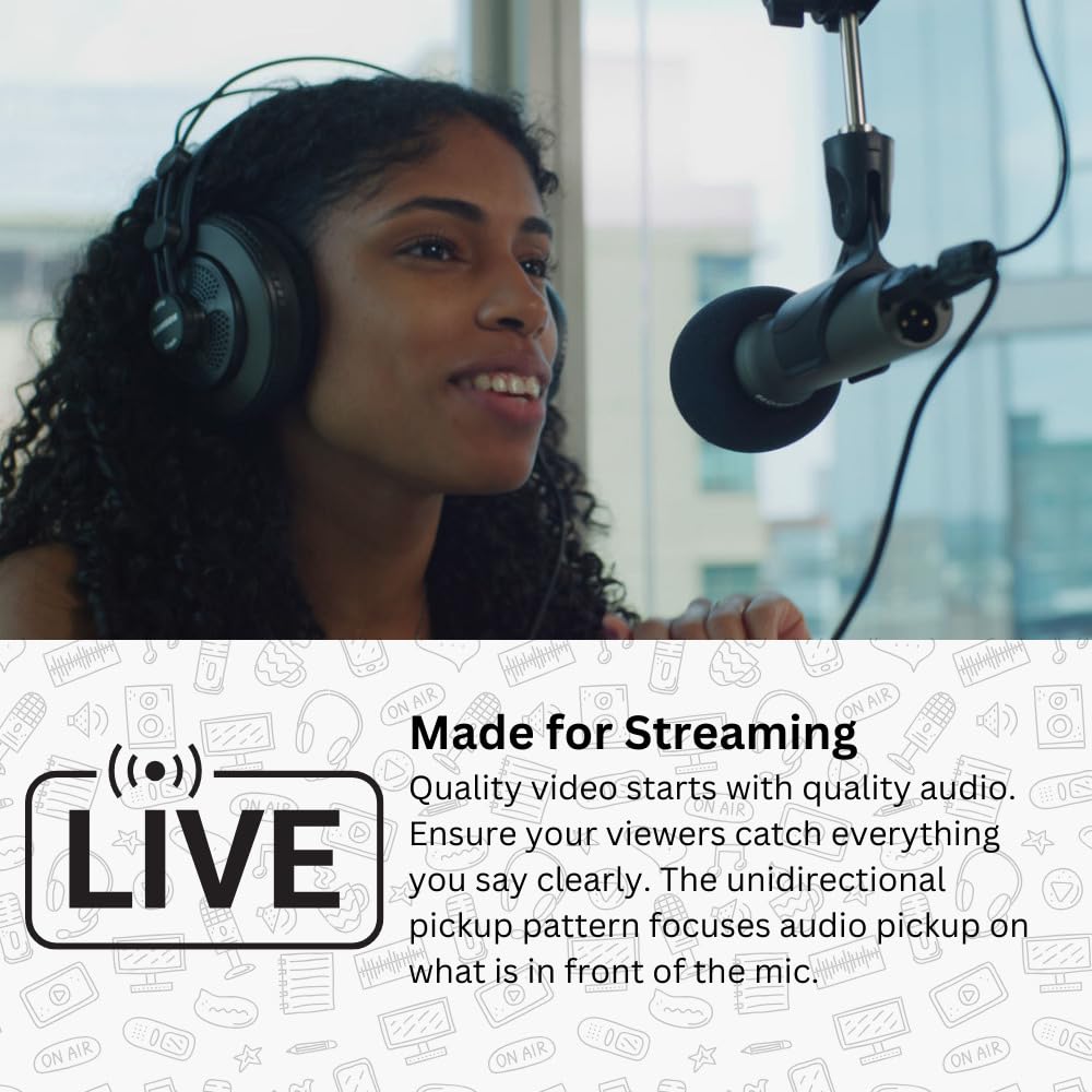 Handheld Dynamic XLR/USB Microphone A2646