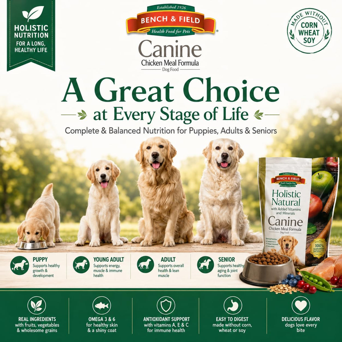 Chicken Meal & Brown Rice Dry Dog Food 6.6 lb F798522