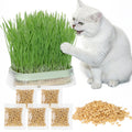 Cat Grass Growing Kit with 5 Pack Non GMO Seeds F6964
