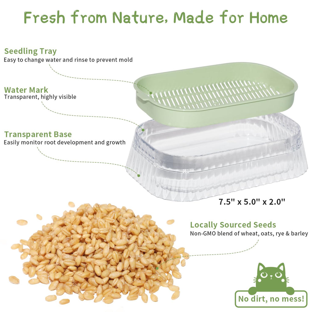 Cat Grass Growing Kit with 5 Pack Non GMO Seeds F6964