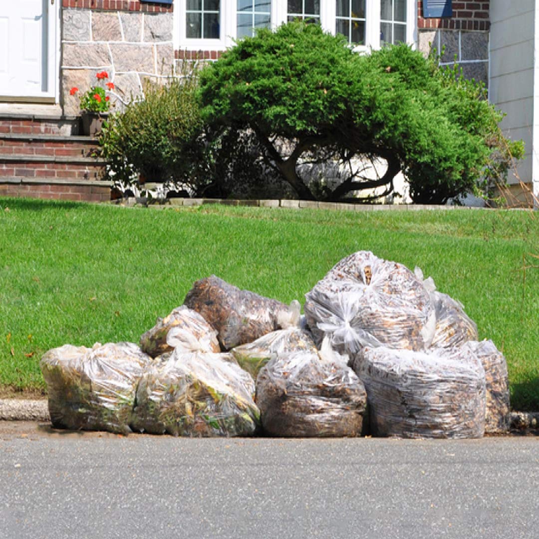 95-100 Gallon Clear Heavy Duty Trash Bags K254