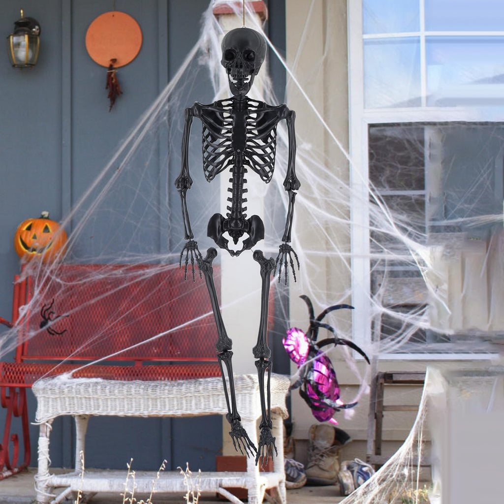 Life Size Posable Skeleton Prop P1444