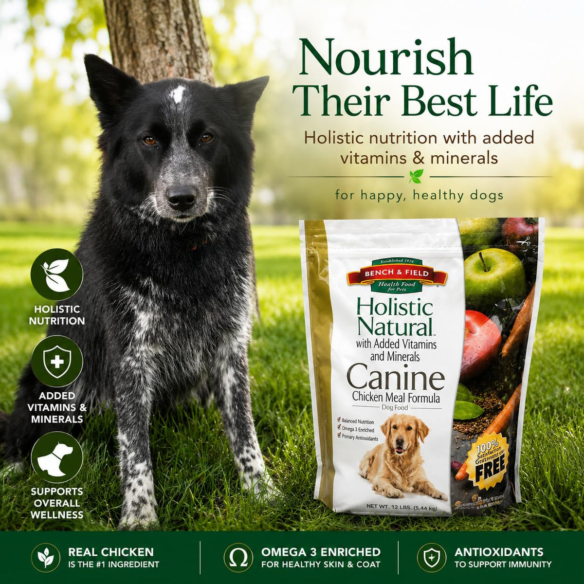 Chicken Meal & Brown Rice Dry Dog Food 6.6 lb F798522