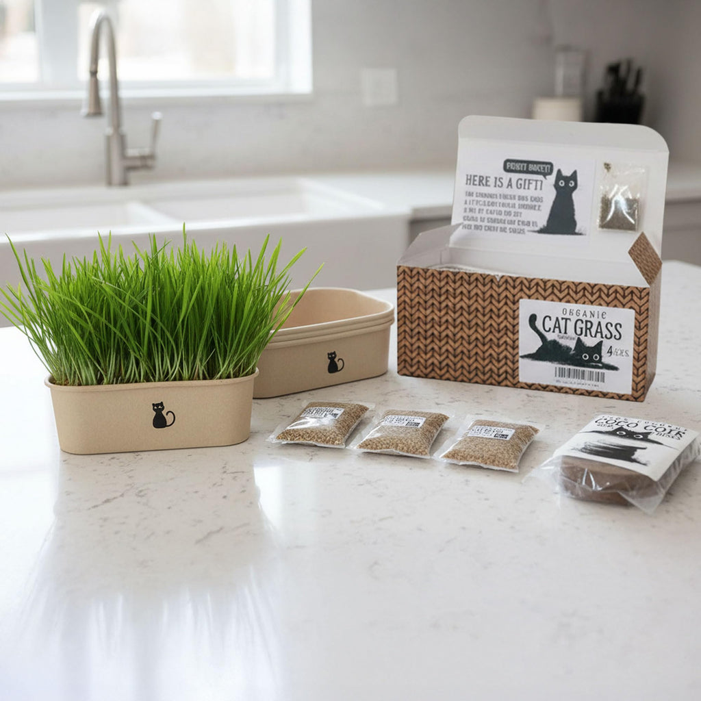 4-Batch Indoor Cat Grass Grow Kit with Containers, Soil Disks & Seeds Z6431