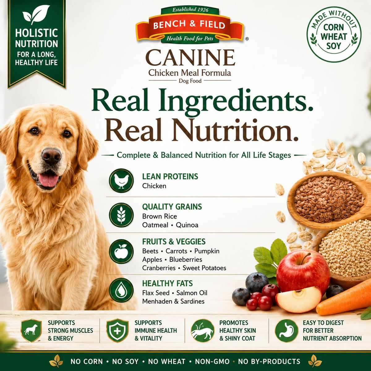 Chicken Meal & Brown Rice Dry Dog Food 6.6 lb F798522