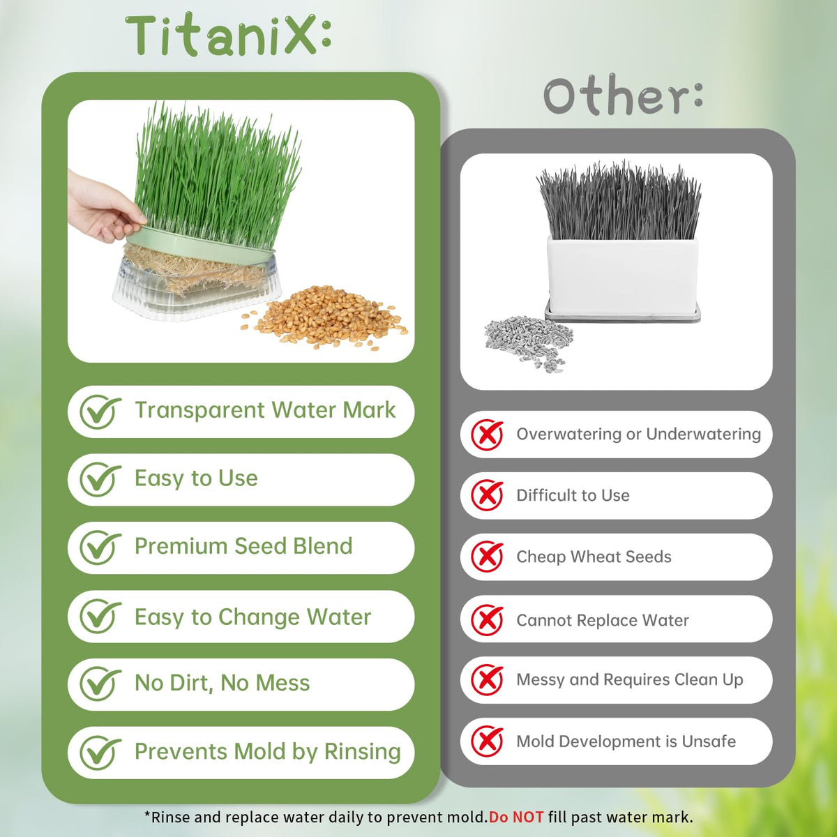 Cat Grass Growing Kit with 5 Pack Non GMO Seeds F6964