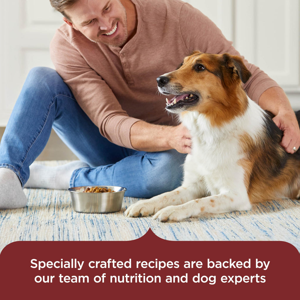 Dry Dog Food, Beef, Pea & Brown Rice, 40 lb. Bag G991