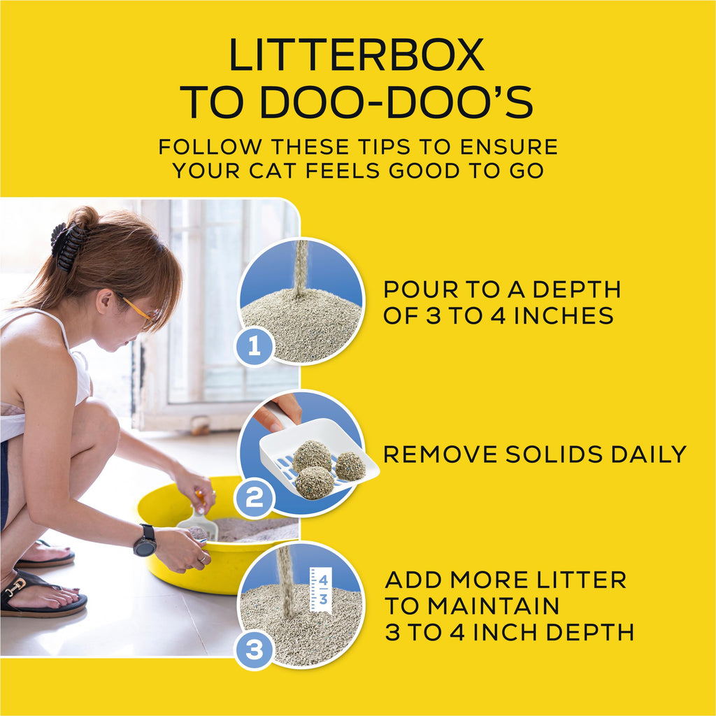 Low Dust Clumping Unscented Cat Litter 17 lb U62772