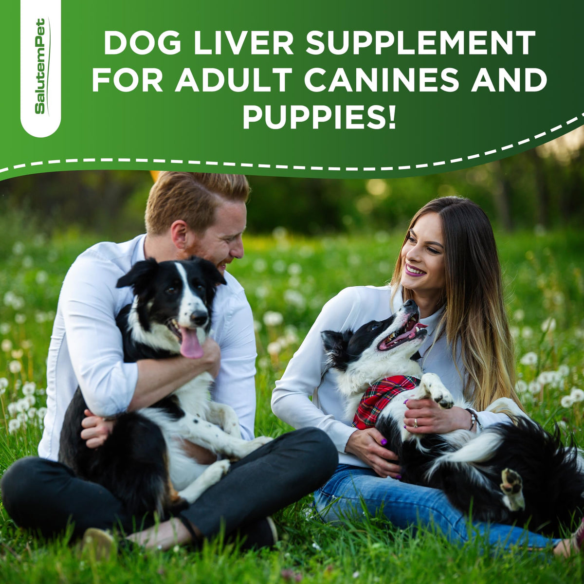 Milk Thistle Dog Liver Supplement 2 Oz N795582
