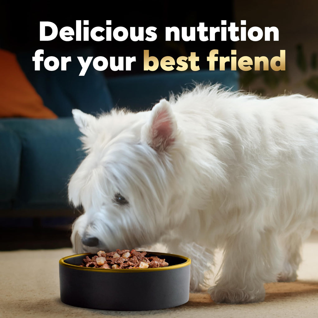 Adult Wet Dog Food Variety Pack 3.5 oz 24 Count K275085