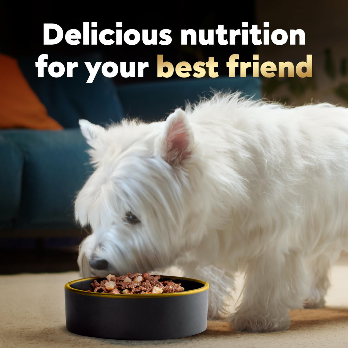 Adult Wet Dog Food Variety Pack 3.5 oz 24 Count K275085