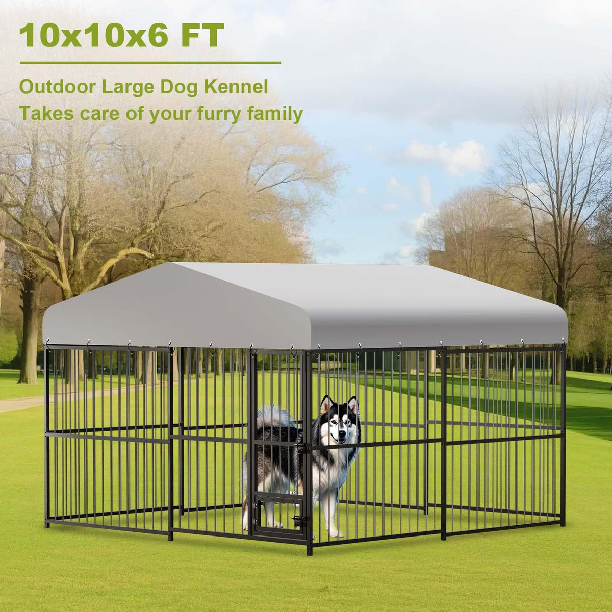 10x10x6 ft Heavy-Duty Outdoor Dog Kennel with Roof U429
