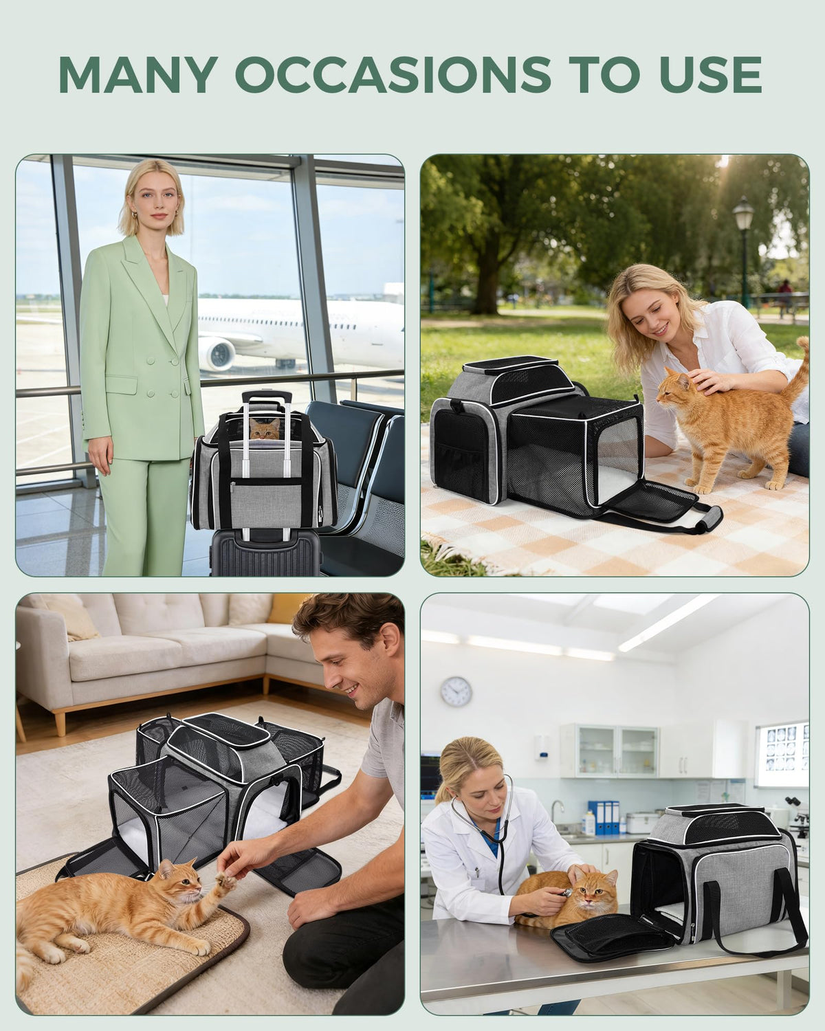 Airline Approved Soft Side Pet Carrier with Fleece Pad Q764845