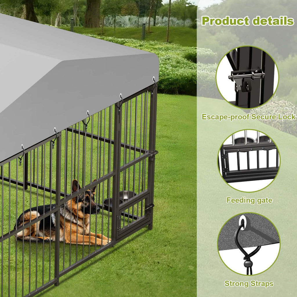 10x10x6 ft Heavy-Duty Outdoor Dog Kennel with Roof U429