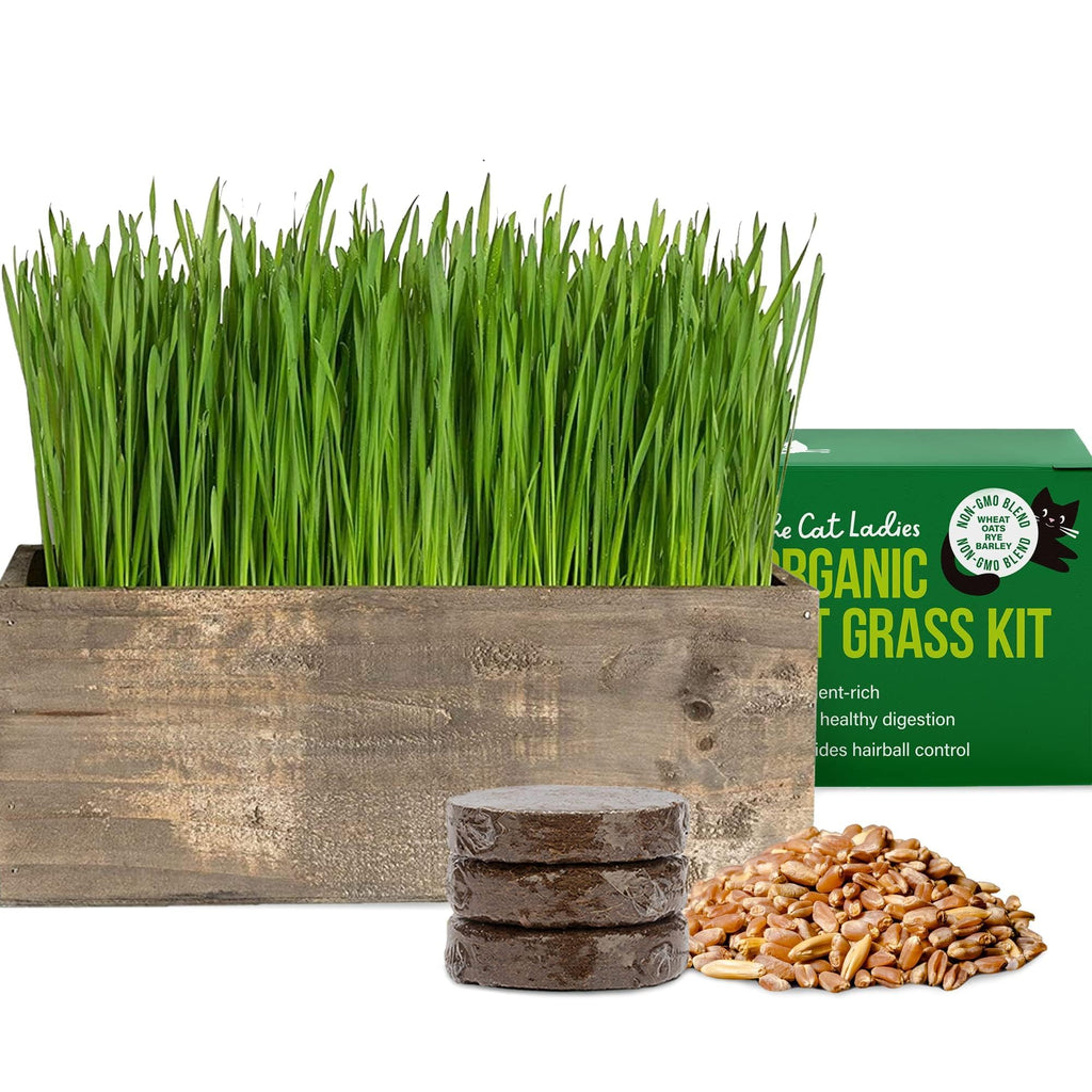 Cat Grass Kit with Wood Planter, Organic Seed and Soil B687085