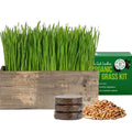 Cat Grass Kit with Wood Planter, Organic Seed and Soil B687085
