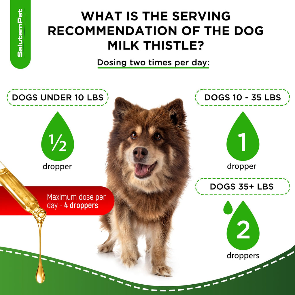 Milk Thistle Dog Liver Supplement 2 Oz N795582