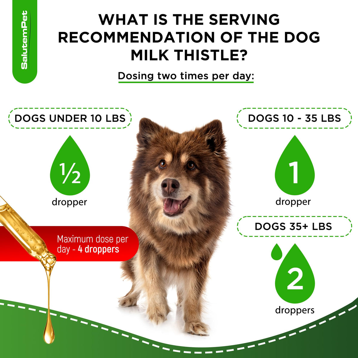 Milk Thistle Dog Liver Supplement 2 Oz N795582