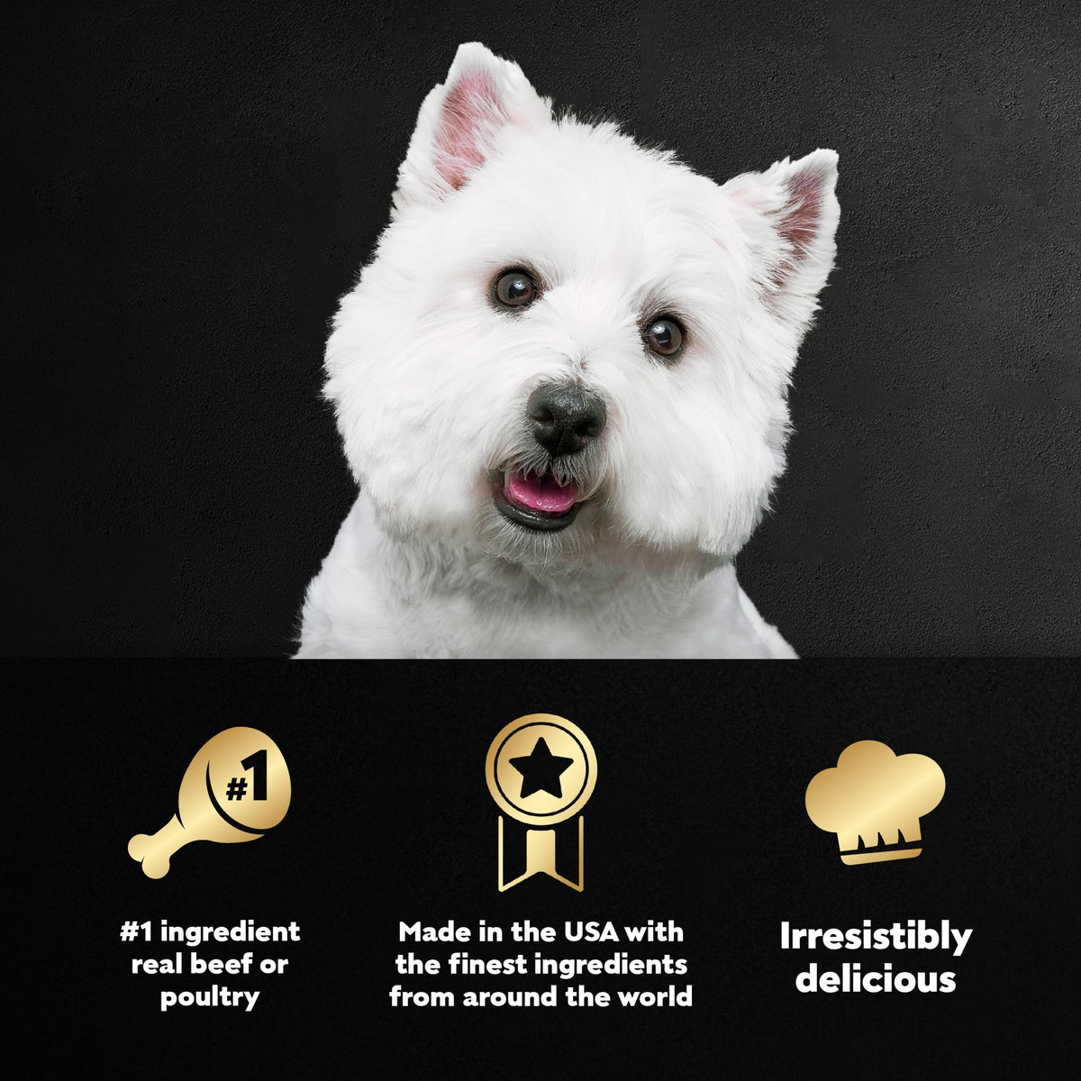 Adult Wet Dog Food Variety Pack 3.5 oz 24 Count K275085