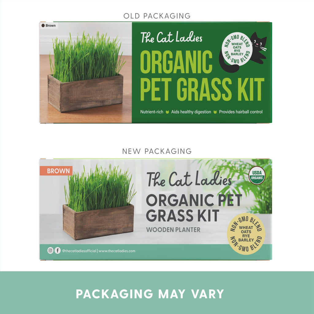 Cat Grass Kit with Wood Planter, Organic Seed and Soil B687085