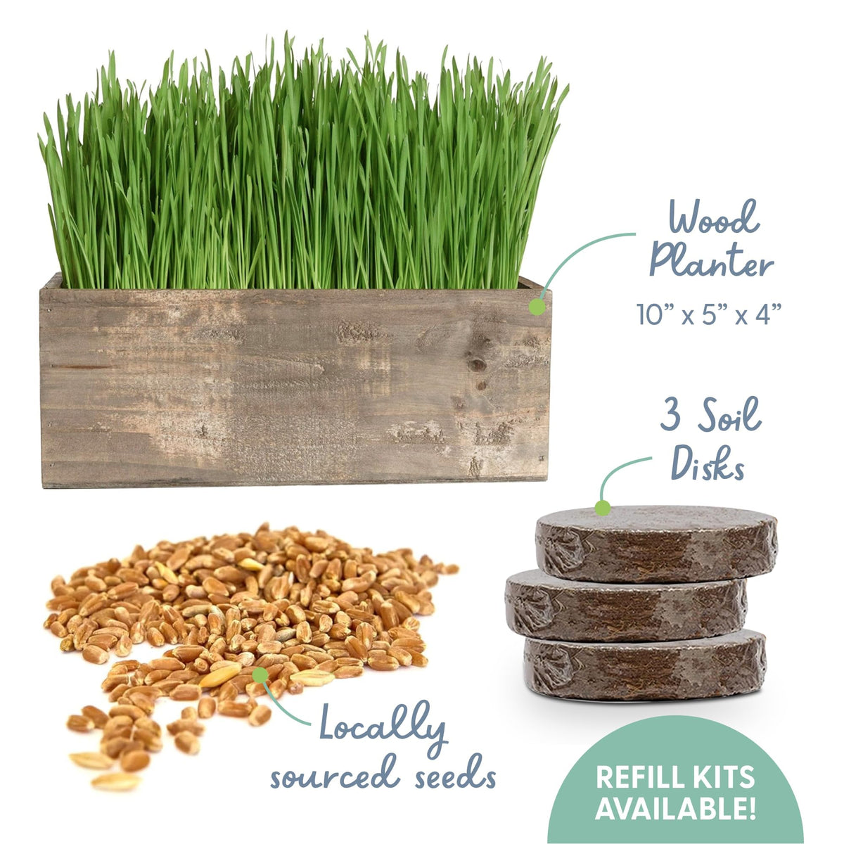 Cat Grass Kit with Wood Planter, Organic Seed and Soil B687085