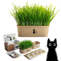 4-Batch Indoor Cat Grass Grow Kit with Containers, Soil Disks & Seeds Z6431