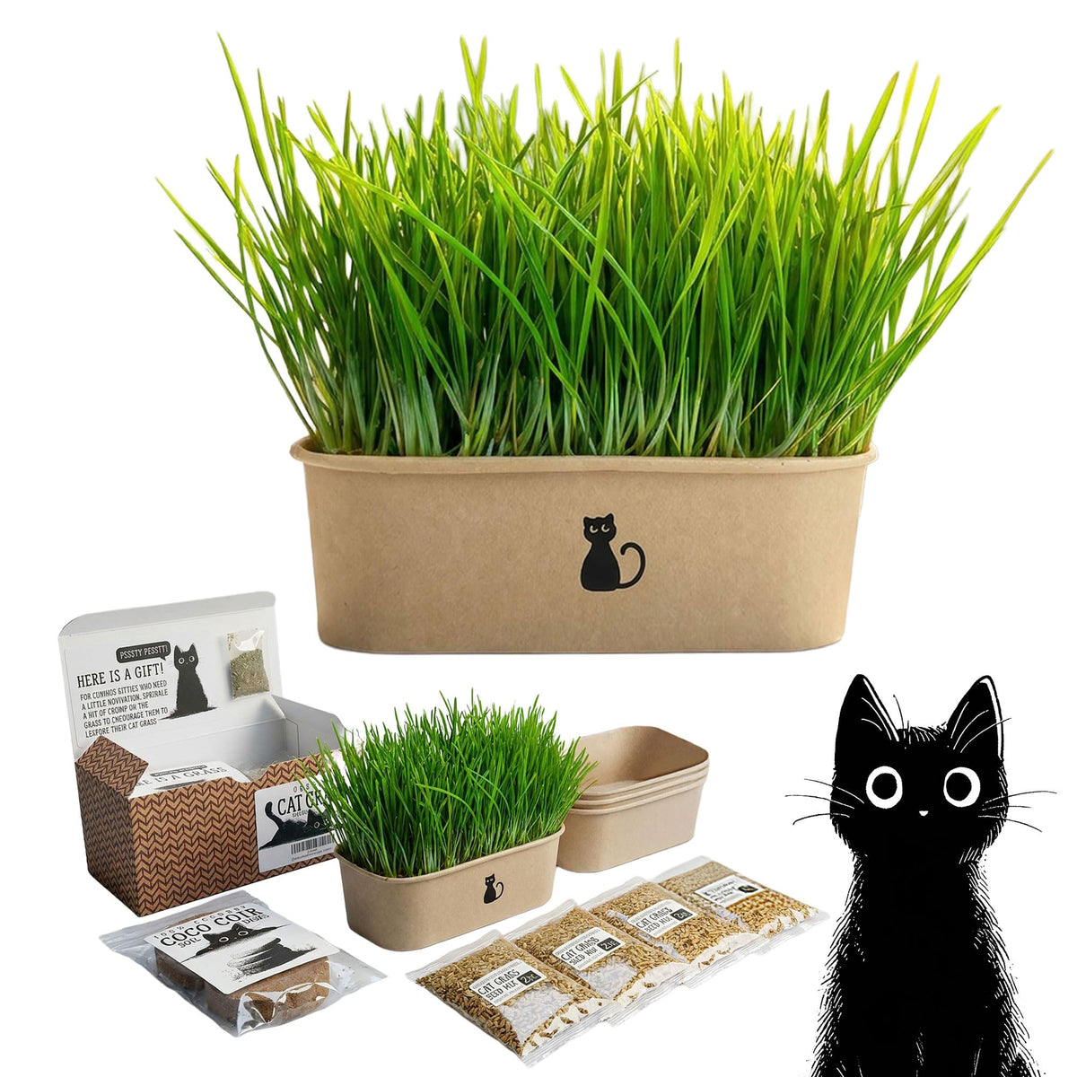 4-Batch Indoor Cat Grass Grow Kit with Containers, Soil Disks & Seeds Z6431