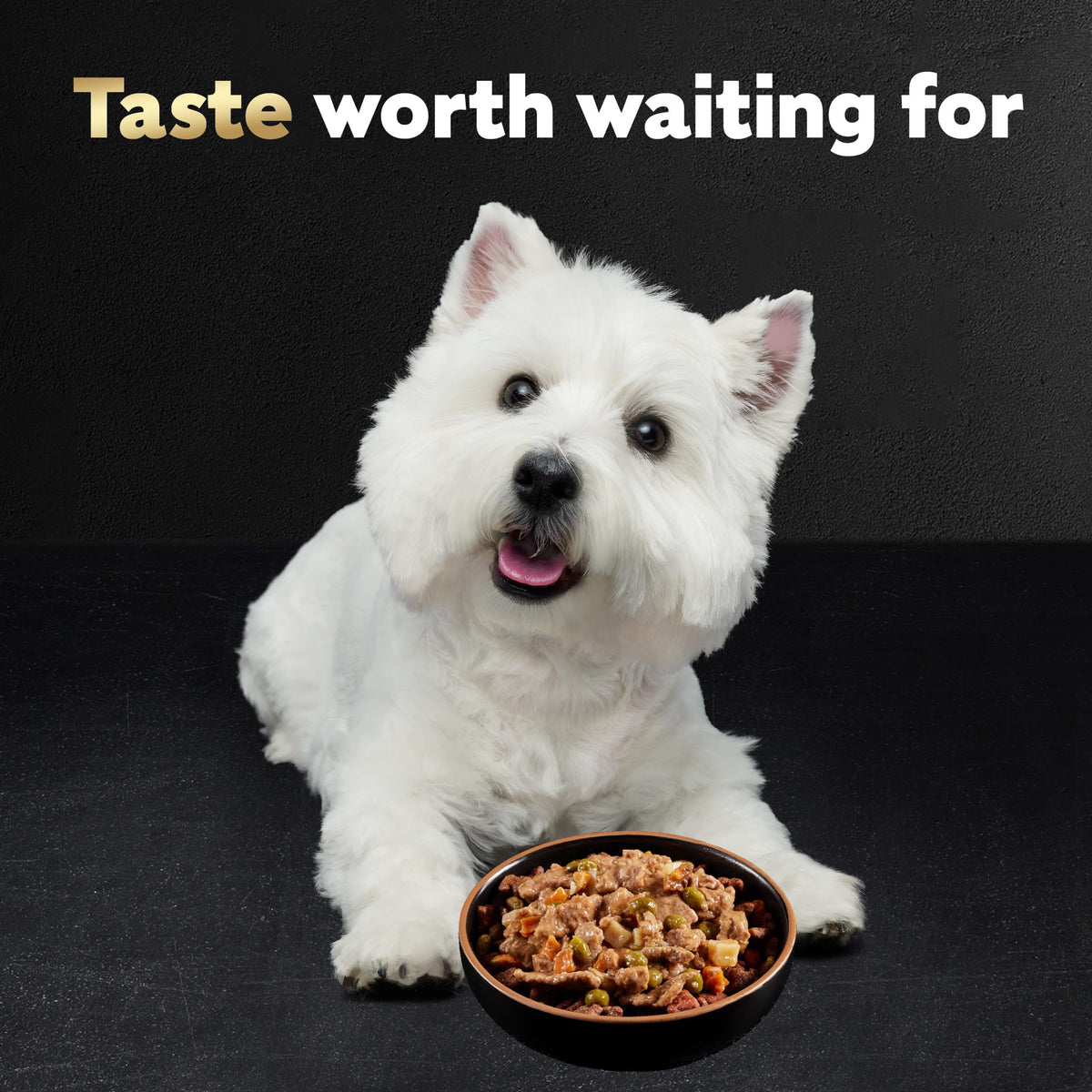 Adult Wet Dog Food Variety Pack 3.5 oz 24 Count K275085