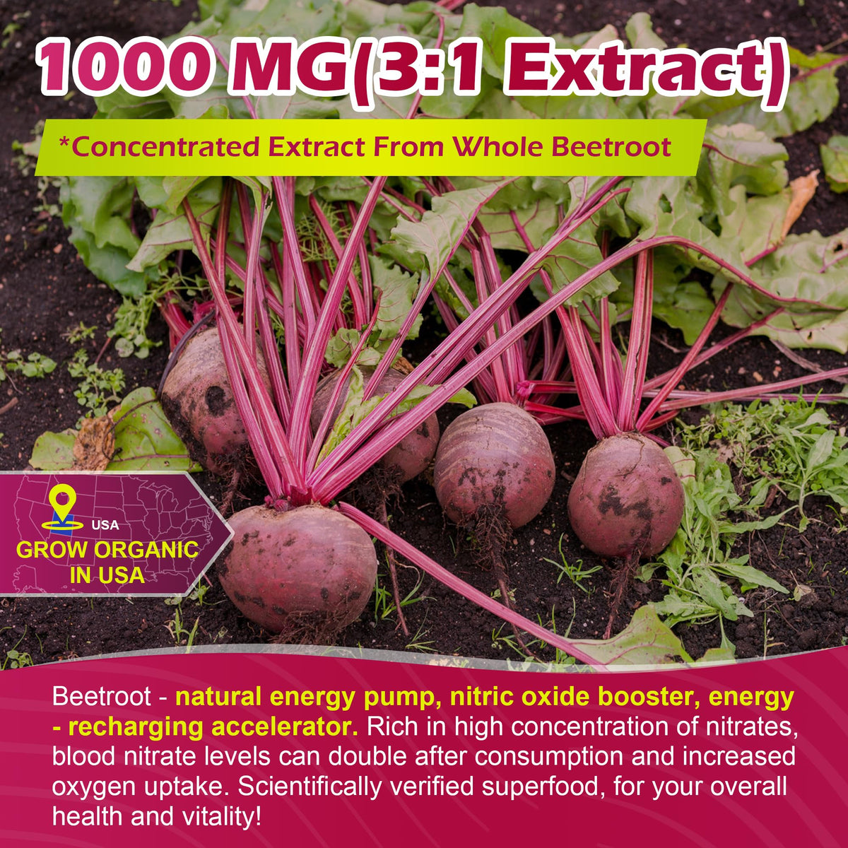 Sugar Free Beet Root Gummies with L-Citrulline & L-Arginine S75227